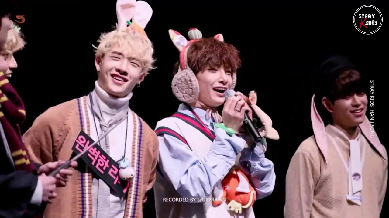 Fanmeeting: How Stray Kids Got Accepted Into JYP Entertainment | STRAYKSUBS